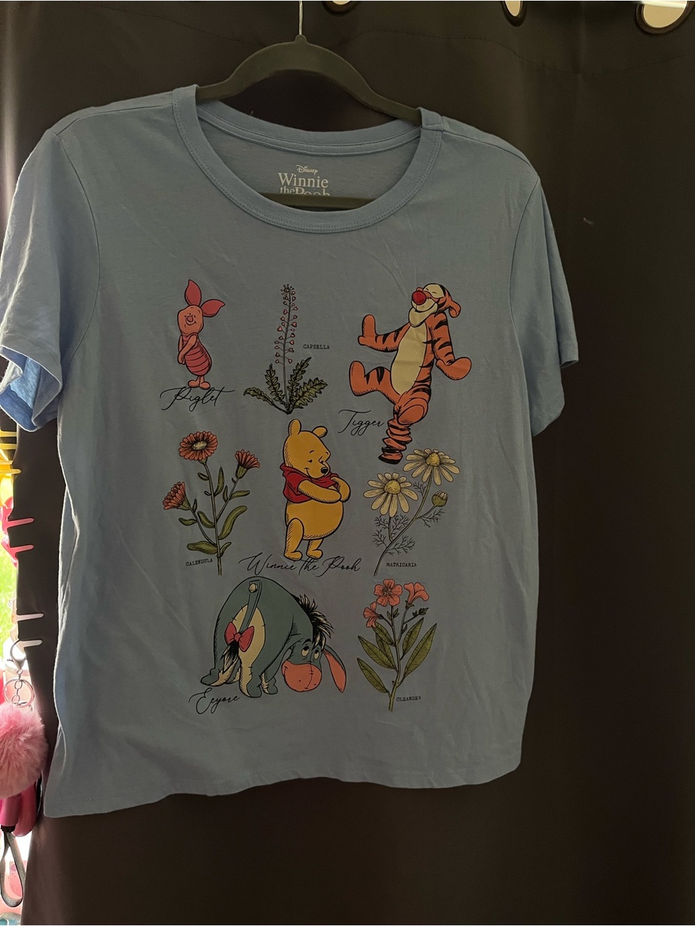 Women’s Light Blue Character T-Shirt - Pooh, Tigger & Friends